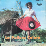 pollera colora